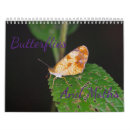 Suche nach schmetterling kalender Tiere