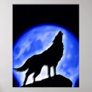 Suche nach heulende wölfe poster Grauwolf