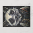 Suche nach waschbären postkarten Für alle