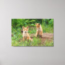 Suche nach niedlicher fuchs leinwandbilder Tierwelt