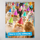 Suche nach lustige katzen geburtstags poster Feier
