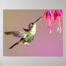 Suche nach fuchsie poster Jede person