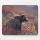 Suche nach grizzly mousepads Tier