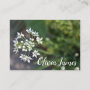 Suche nach weiße blumen visitenkarten Grün