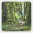 Suche nach washington aufkleber Tag