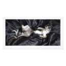 Suche nach schwarze chihuahua poster Weiß