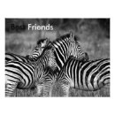 Suche nach zebra foto poster Schwarz