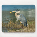 Suche nach blauer reiher mousepads Vögel