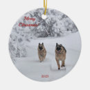 Suche nach schäferhund ornamente Hunde