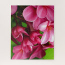 Suche nach rosa blüten puzzle Für alle