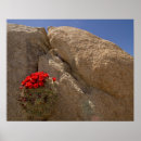 Suche nach mojave poster Kalifornien