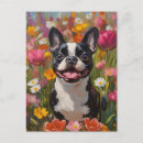 Suche nach bostoner terrier postkarten Jede person
