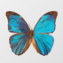 Suche nach tropischer schmetterling kunst Für alle