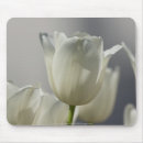 Suche nach weiße tulpen mousepads Frühlingsblumen