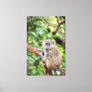 Suche nach lustige tiere leinwandbilder Wildtiere