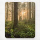 Suche nach pazifisch mousepads Landschaft