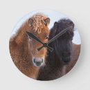 Suche nach isländisches pferd wanduhren Atlantisch