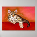Suche nach maine coon kitten poster Katze