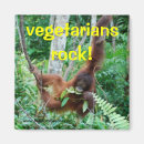 Suche nach primate magnete Wild