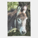 Suche nach niedliches pferd geschirr tücher Tier