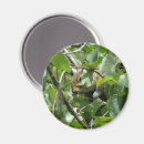 Suche nach versteck magnete Jede person