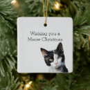 Suche nach graue katzen ornamente Schwarz
