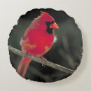 Suche nach singvogel kissen Vogelvogel