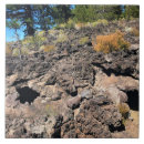 Suche nach heidelbeere fliesen Natur