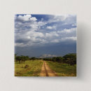 Suche nach norden buttons Africa