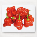 Suche nach chili mousepads Scharf
