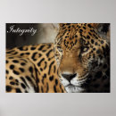 Suche nach integrität poster Motivierend