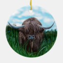 Suche nach scottish ornamente Hochland