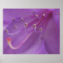 Suche nach strauch poster Flora