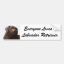 Suche nach schwarzer labrador retriever hund autoaufkleber Welpe