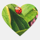 Suche nach ladybird aufkleber Insekt