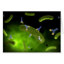 Suche nach antikörper postkarten Y form