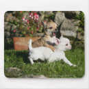 Suche nach kitz mousepads Weiß
