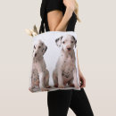 Suche nach unschuld taschen Süße tiere