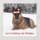 Suche nach deutscher schäferhund einladungen Polizeihund