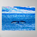 Suche nach humpback whale poster Ozean