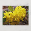 Suche nach gelbe wildblumen postkarten Jede person