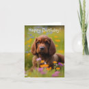 Suche nach cocker spaniel geburtstag karten Haustiere