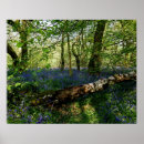 Suche nach forrest poster Landschaft