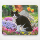 Suche nach schwarz weiße katze mousepads Katzen