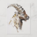 Suche nach skizzieren postkarten Die studie zeichnen