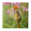 Suche nach hinterhof fliesen Illinois