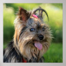 Suche nach lustiges nähen poster Für alle