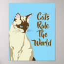 Suche nach siamesische katze poster Für alle