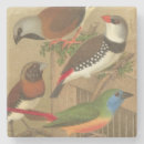 Suche nach vintage vögel untersetzer Natur