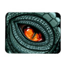 Suche nach krokodil magnete Dinosaurier